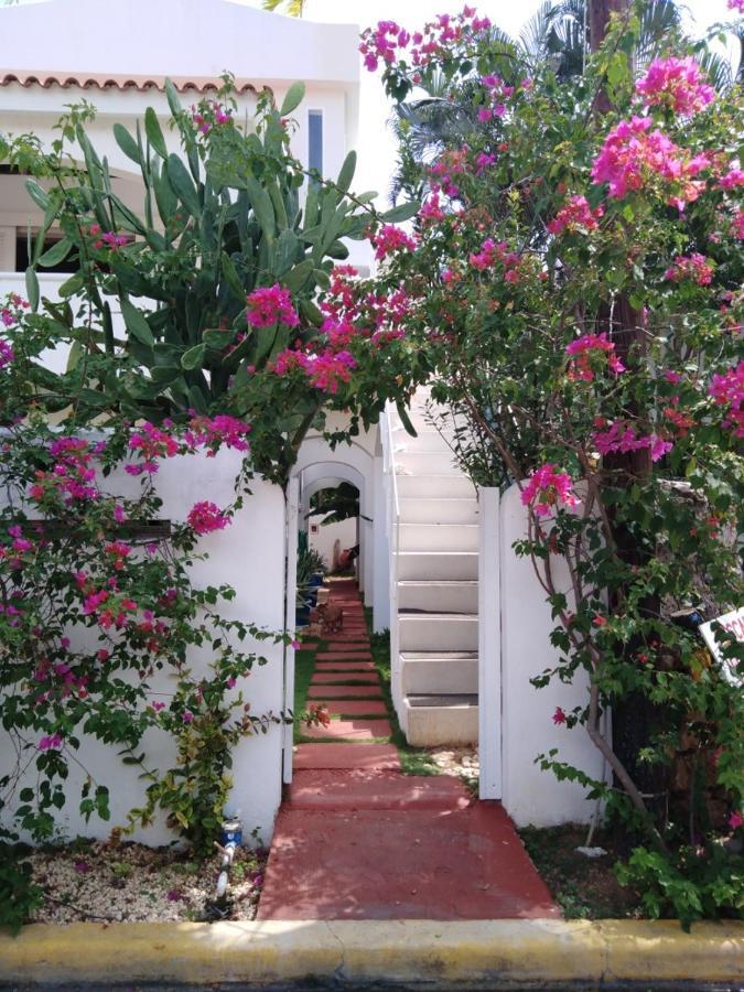 Caraibidamari Ξενοδοχείο Bayahibe Εξωτερικό φωτογραφία